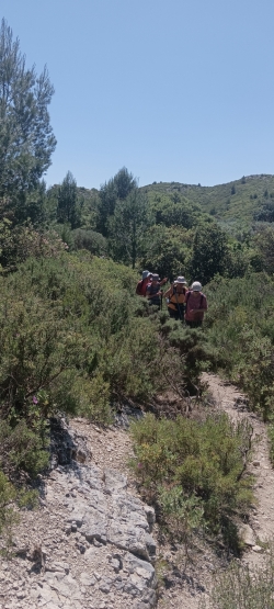 sentier étroit et épineux ....