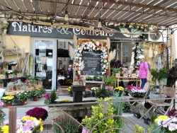 que de fleurs ...... !
