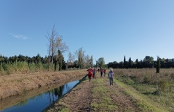 Canal du Grand Anguillon