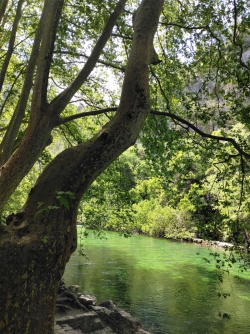 Nous longeons la rive droite de la Sorgue