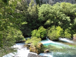 eau toujours aussi verte et limpide !