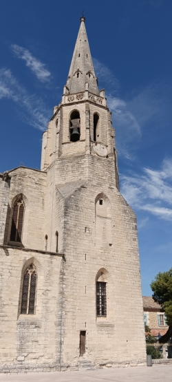 Après-midi : MONTFAVET