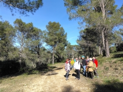 Randonnée dans les Alpilles