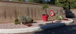 Retour à Rochefort fleurie même sur ses trottoirs