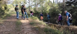 sur le chemin du retour ....
