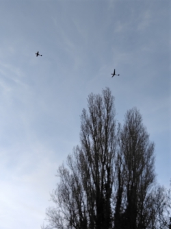 Mias ici, le spectacle est aussi dans les airs !