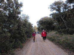 puis chemin du retour