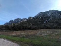 Samedi 29 novembre : St Rémy