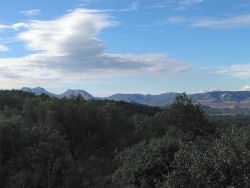 Vue sur les Alpilles à l'Ouest