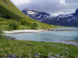 Morfjorden