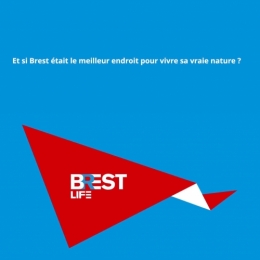 8FE8193D-404E-4E8C-A875-96749BF3BEB7.jpg