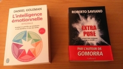 saviano,livre,drogues,cocaïne,finances,narcocapitalisme,investissements,banques,santé,emploi