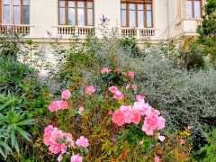 theorie de la motivation, besoins psychologiques, compétences émotionnelles