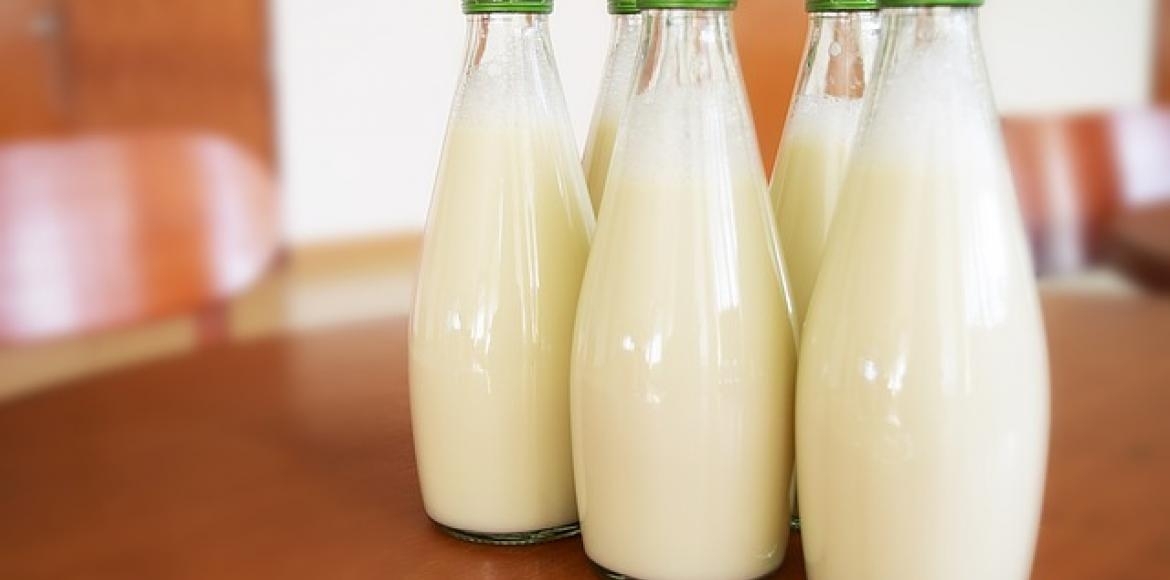Comment faire du lait caillé maison? - Cuisine Toulousaine et Occitane