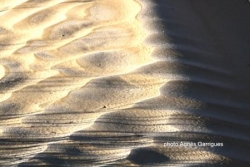 Les vaguelettes gelées du désert
