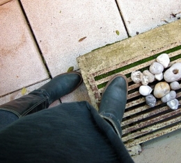 bottes canard.jpg