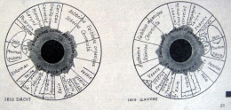 Iris de l'oeil.jpg