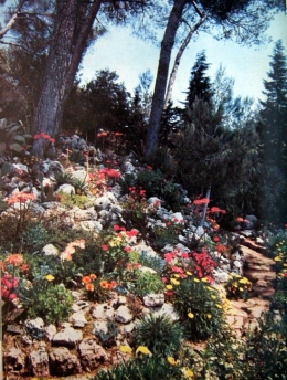 Jardin.jpg