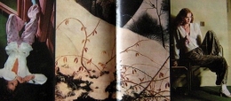 dentelle envers.jpg