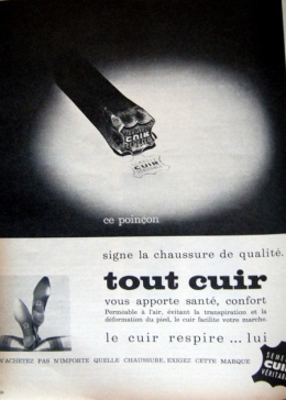 tout cuir.jpg