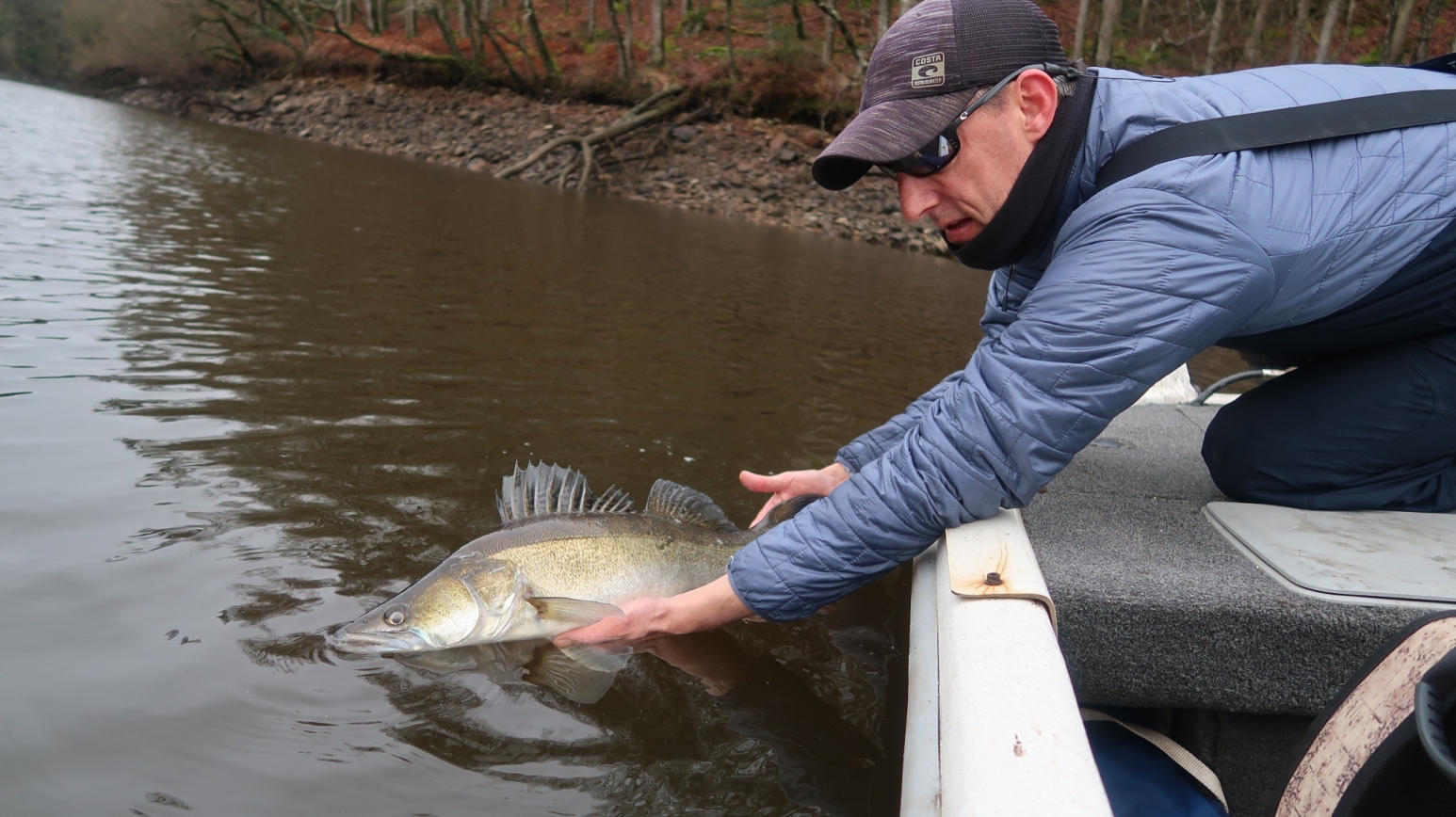 Pêche du sandre en lac de barrage en Bretagne 1ère partie Enjoy Fishing