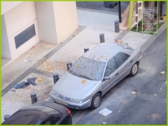 VOITURE VENTOUSE poubelle-sur-voiture-003.JPG