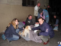 Maraude du 20 Novembre 2012