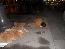 Place du Palais Royal