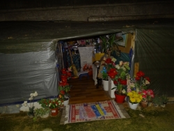 Un logement fleuri