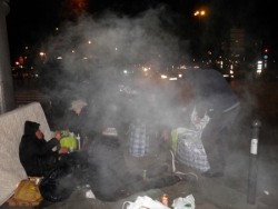 Michel au jardin des plantes
