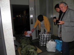 Un ami fidèle:Bruno