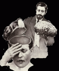 Philosophie A (1).gif