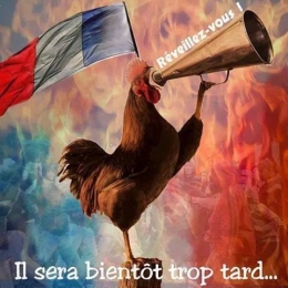 Le coq.jpg