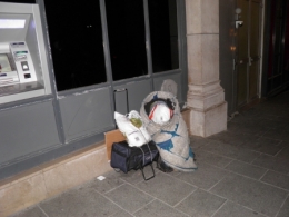 Maraude 1.jpg