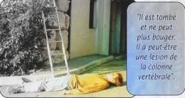Il est allongé 1.jpg