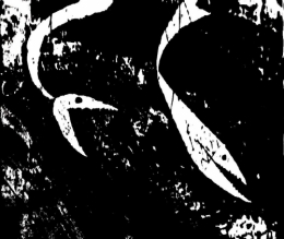 Poisons d'eau douce.jpg