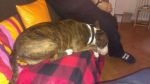 IMG-20120701-WA0001.jpg