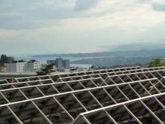 P1010029b.jpg