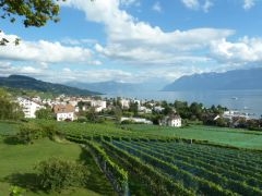 Balade vers Pully 002.JPG
