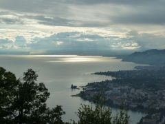 P1010236 - Copy.JPG