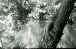 Sara, marais de Bourges