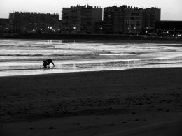 nick kent,laurence romance,rock n roll,pount,études éthiopiennes,berhanou abebe,langue amharique,arthur rimbaud,bateau ivre,futuropolis,stefano ricci,l'histoire de l'ours,remonter la marne,jean-paul kauffmann,déclaration d'amour,chant préhistorique,aurore,franketienne,jean pierre basilic dantor franck étienne d'argen,haïti,littérature haïtienne,exil,fidélité,ultravocal,enfer,vaudou,mythologie universelle,ville de 20 000 habitants,quitté par une femme,naufrage personnel,héros sans grandeur,envers du rock