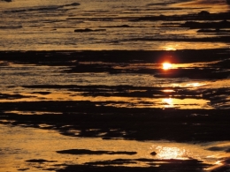 2014.06.30.LS.Plage15.jpg