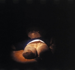 53.jpg