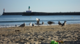 Sables d'Olonne, Sables de septembre, Mavra Nicolaïevna Novogrochneïeva, mouettes, plages, Olonne