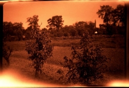 paysage.jpg