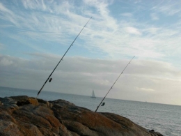 les cannes à pêche.jpg