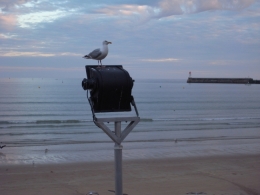 L'olonnois, Sables d'Olonne, polar enfantin, Barbier, ragondin, police, gendarmerie, capitainerie, baroudeur, vengeance, goût de cendre, Sables d'Olonne, piraterie, tank, sous-marins, DDASS, prison, palais de justice, école maternelle, humiliation, carrière, apothéose