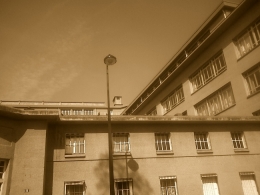 IMG00564-20130325-1356.jpg
