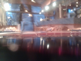 IMAG0120.jpg